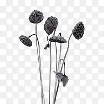 Á«ÅºÖ¦ËزÄ-¿ÕÈôÍø Á«ÅºÖ¦ËزÄ-¿ÕÈôÍø