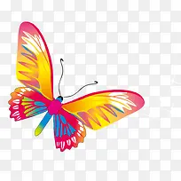 彩色蝴蝶图案-空若网 彩色蝴蝶图案-空若网