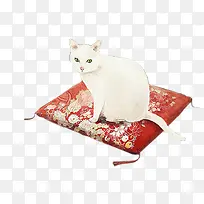 白色毛红色垫子-空若网 白色毛红色垫子-空若网