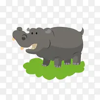 河马-空若网 河马-空若网