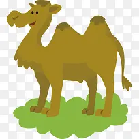 骆驼-空若网 骆驼-空若网