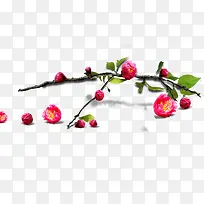 独枝梅花-空若网 独枝梅花-空若网