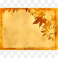 枫叶背景-空若网 枫叶背景-空若网