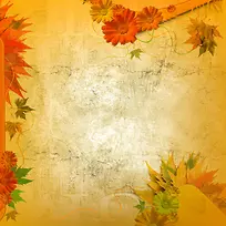 ��Ҷ����ͼ��-������