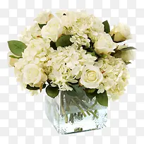 水中白色玫瑰水菊-空若网 水中白色玫瑰水菊-空若网