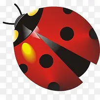 卡通昆虫-空若网 卡通昆虫-空若网