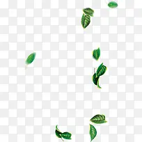 摄影夏日海报绿色漂浮树叶-空若网 摄影夏日海报绿色漂浮树叶-空若网