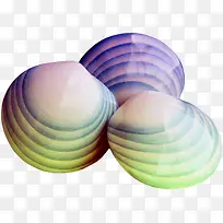 彩色贝壳-空若网 彩色贝壳-空若网
