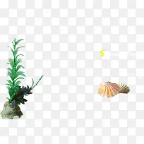 创意摄影绿色植物贝壳-空若网 创意摄影绿色植物贝壳-空若网