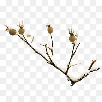 带雪树枝图案-空若网 带雪树枝图案-空若网