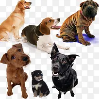 ���ֳ��ﹷ����-������