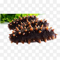 海参蔬菜主图-空若网 海参蔬菜主图-空若网