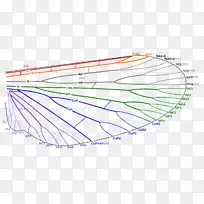 ������������̬�������-������