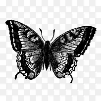 ������������ҹ���-����-������