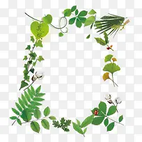 百草边框-空若网 百草边框-空若网