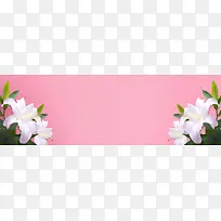 ��Լ���񺣱�����-������