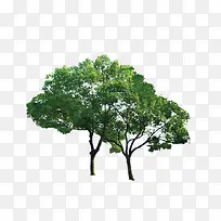 ��-������