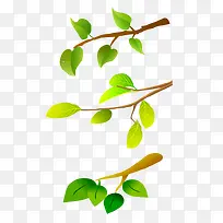 树枝树叶素材-空若网 树枝树叶素材-空若网