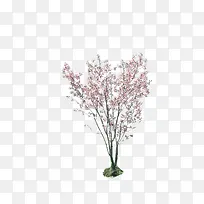 ��֦-������