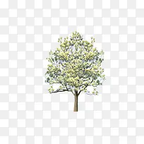 ��-������