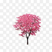 树-空若网 树-空若网