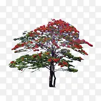 Ê÷-¿ÕÈôÍø Ê÷-¿ÕÈôÍø