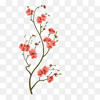 一树枝花-空若网 一树枝花-空若网