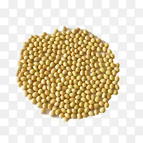 圆圆的黄豆-空若网 圆圆的黄豆-空若网