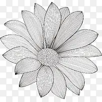 花纹设计-空若网 花纹设计-空若网