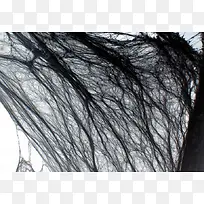 黑色丝网背景-空若网 黑色丝网背景-空若网