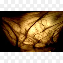 ²ÏË¿ÎÆÀí±³¾°-¿ÕÈôÍø ²ÏË¿ÎÆÀí±³¾°-¿ÕÈôÍø