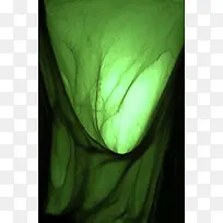 绿色丝网背景-空若网 绿色丝网背景-空若网