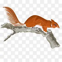 ��֦�ϵ�����-������