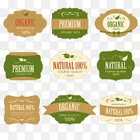 ����ŷʽ��ǩʸ���ز�-������