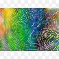 梦幻彩色蛛网背景-空若网 梦幻彩色蛛网背景-空若网