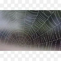 彩色梦幻蛛网背景-空若网 彩色梦幻蛛网背景-空若网