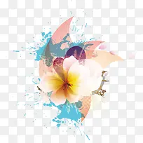 ��Լ���� ��-������