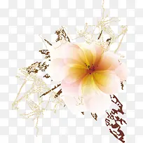 简约花纹-空若网 简约花纹-空若网