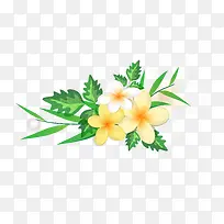 鸡蛋花下载-空若网 鸡蛋花下载-空若网