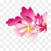 简约花纹-空若网 简约花纹-空若网