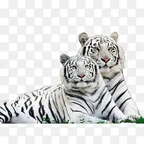 �׻�-������