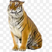 �ϻ�-������