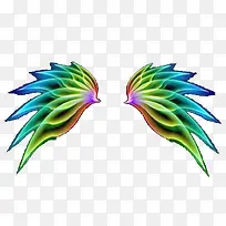 彩色翅膀-空若网 彩色翅膀-空若网