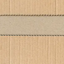 ����ֽ����-������