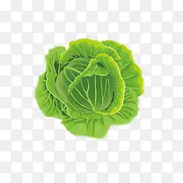 包菜-空若网 包菜-空若网