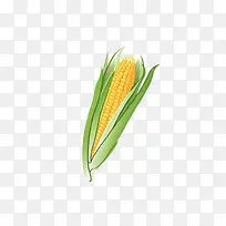玉米-空若网 玉米-空若网