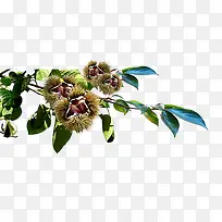 װ��ͼ��-������