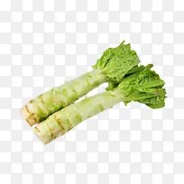 Ý«Ëñ-¿ÕÈôÍø Ý«Ëñ-¿ÕÈôÍø