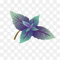 矢量紫色蔬菜叶-空若网 矢量紫色蔬菜叶-空若网