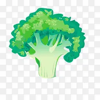 ��ɫ�߲�������-������